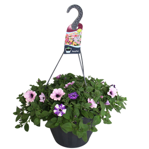 Hangpotten 37 cm met waterreservoir Mix 02 Petunia Night Sky Mix