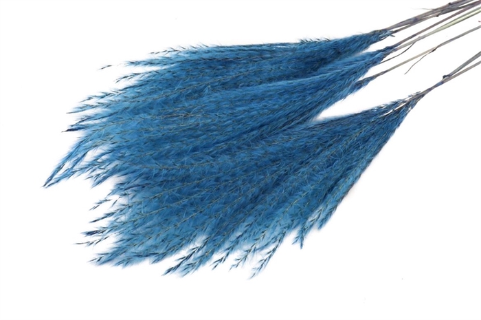 Bunch Fluffy Silver Grass 10pcs L75