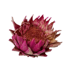 Dried Artz Cynara Heads Rafael