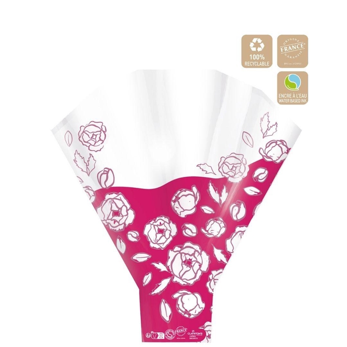 <h4>Caprice 50*44*12cm x50</h4>