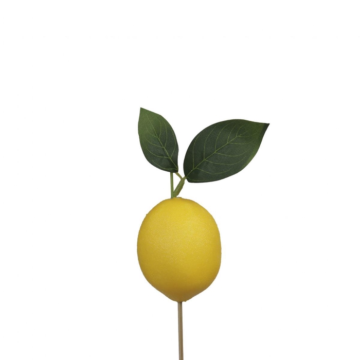 <h4>20cm Lemon 7cm</h4>