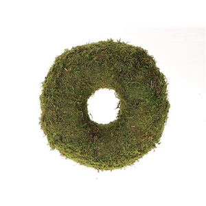 Wreath Asia Moss Thick H10D28