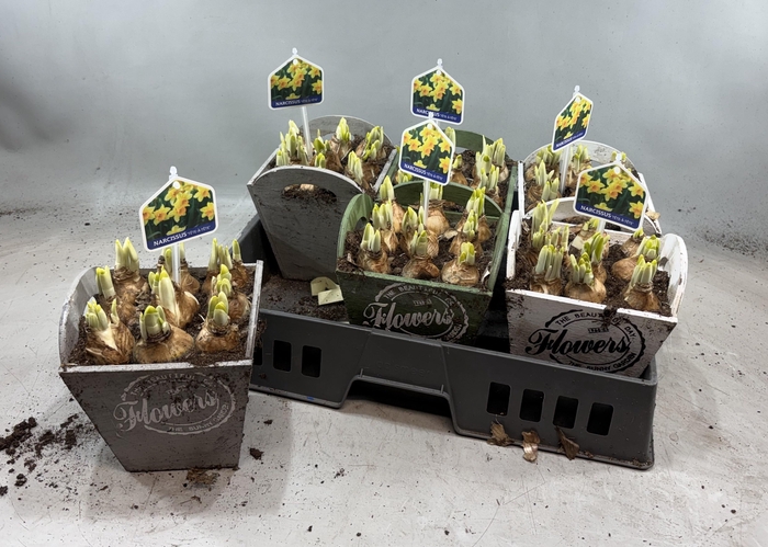 <h4>ARR N TETE A TETE</h4>