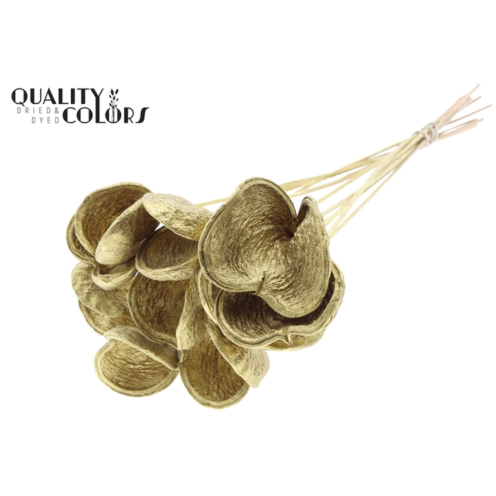 <h4>Badam on stem Gold</h4>