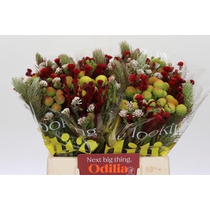 BQ Kaaps Groen Mountain Mix