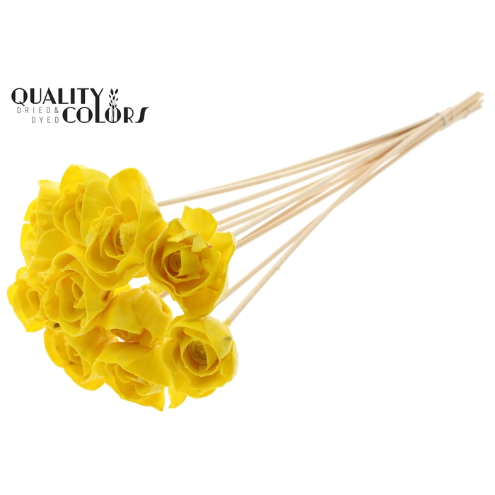 <h4>Shola Dear Holly 6cm on stem Wax Yellow</h4>