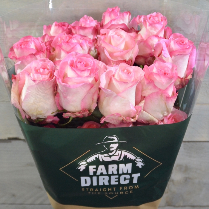 <h4>R GR BOULEVARD</h4>