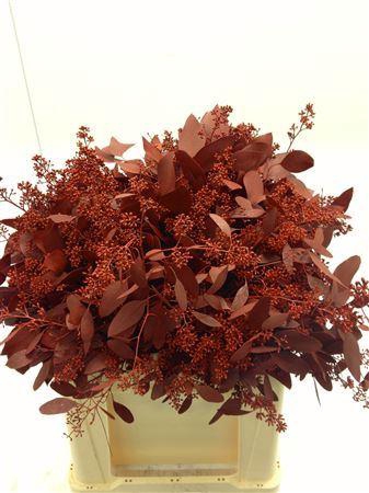 <h4>EUCALYPTUS POPULUS RED DYED</h4>