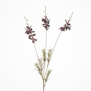 AF Gaura spray x3 L89cm burg