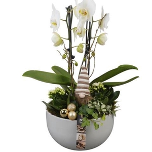 Opm Pt PTCHG5631 X-mas Gold Keramiek Schaal