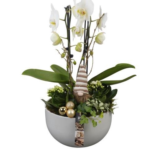 <h4>Opm Pt PTCHG5631 X-mas Gold Keramiek Schaal</h4>