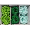 Ro Pres Classic Mix Green