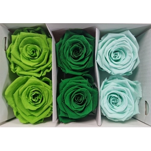 Ro Pres Classic Mix Green