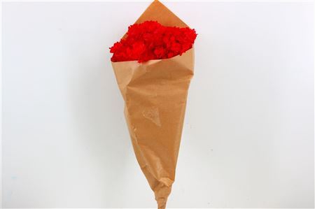 <h4>Pres Hydr 1-2 Stems Red Bunch</h4>