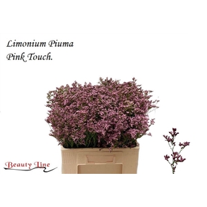 LIM PIUMA PINK TOUCH