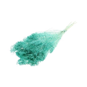 Bunch Broom Slv 100g L45