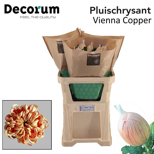CHR G VIENNA COPPER