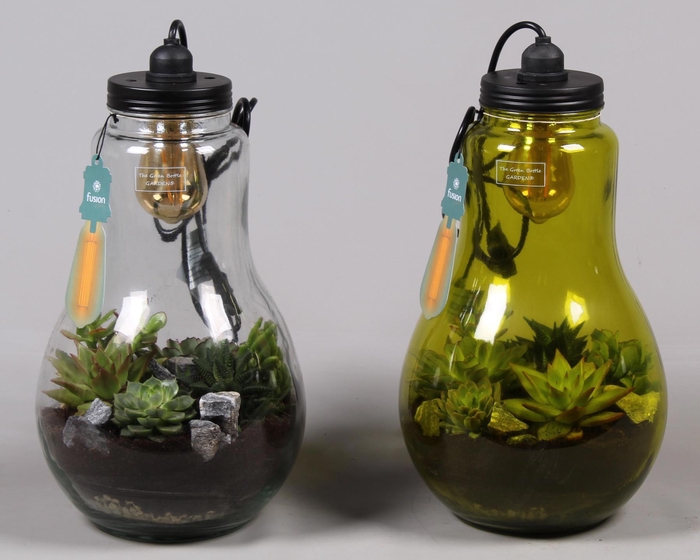 <h4>Glas Terrarium XXL helder met verlichting met Succulenten</h4>