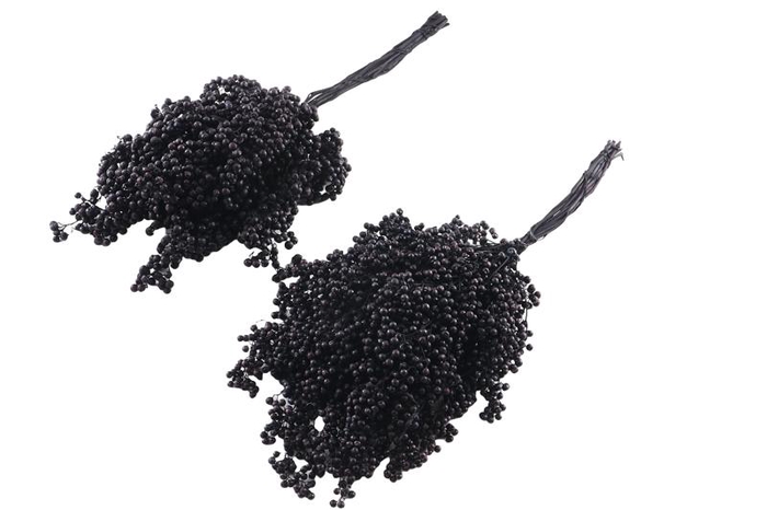 Pepperberry Black