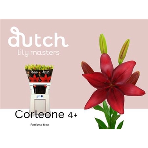 Li La Corleone