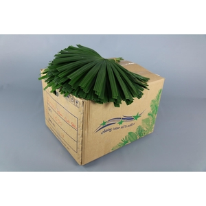 Raphis Cutted (air)(per stem)