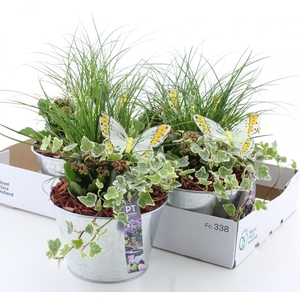 ARR TUINPLANTEN
