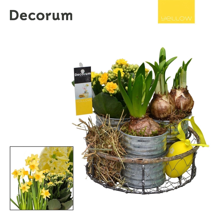 <h4>Calandiva & Narcis Brocante Zink HL29685 [YELLOW]</h4>