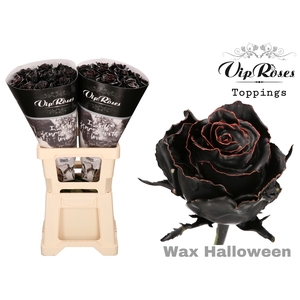 R Gr Wax Halloween X20
