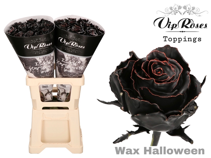 <h4>R GR WAX HALLOWEEN x20</h4>