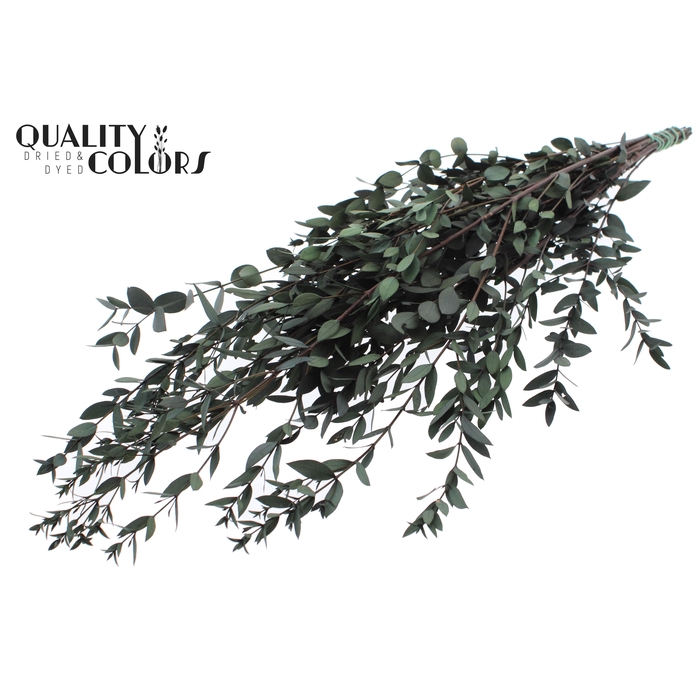 <h4>Eucalyptus Parvifoglia Preserved Green</h4>