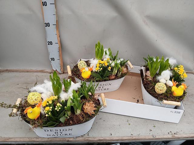 <h4>ARR BOL KNOLGEWAS</h4>