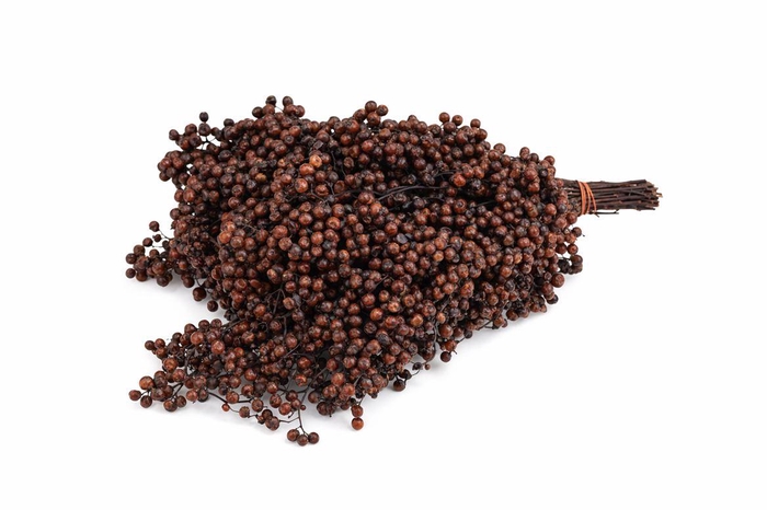 <h4>Schinus M Pt Brown Bunch</h4>
