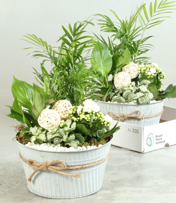 <h4>ARR KAMERPL</h4>