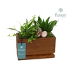 Arrangementen Pasen H% hout FC-23.1046FDH mit Led