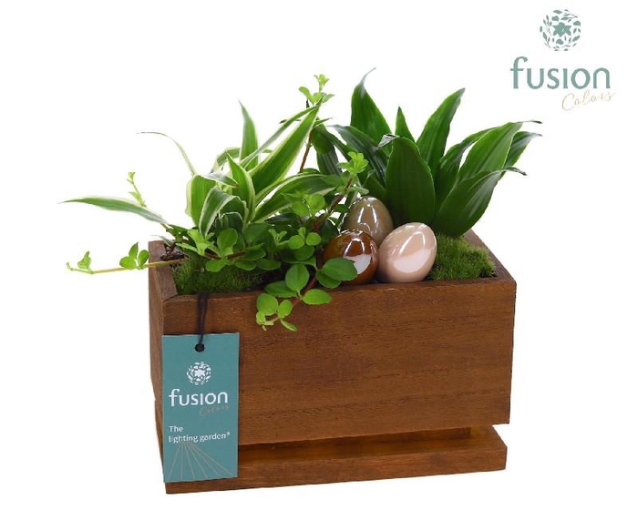Arrangementen Pasen H% hout FC-23.1046FDH mit Led