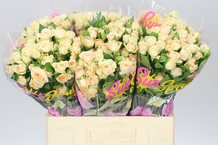 <h4>Rosa Tr Sancerre</h4>