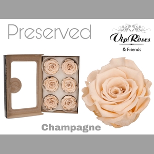 R PRESERVED CHAMPAGNE