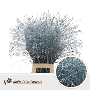 Panicum Blauw Licht metallic