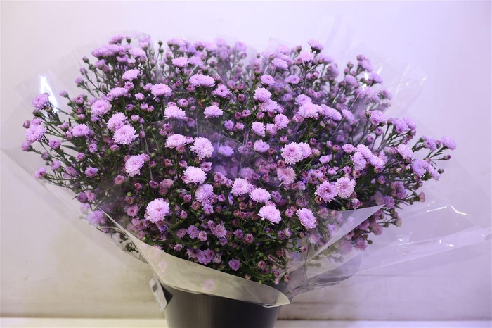 <h4>Ast Double Da Pink</h4>