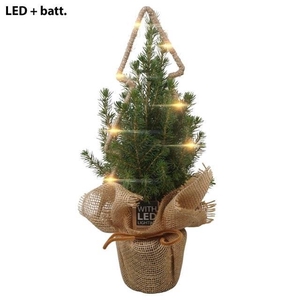 Arrangement Ptk26143 Conica Perfecta In Jute Me