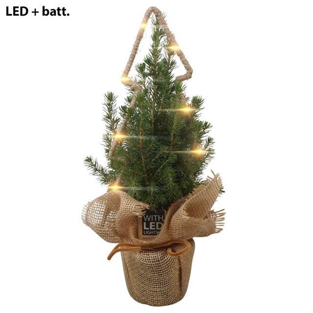 <h4>Arrangement Ptk26143 Conica Perfecta In Jute Me</h4>