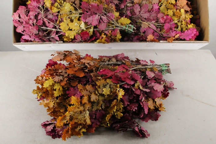 PF OAK LEAFS BS 150GR