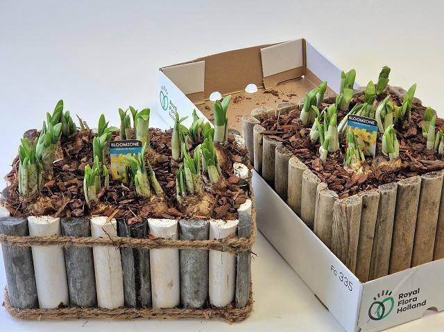 <h4>ARR N TETE A TETE</h4>