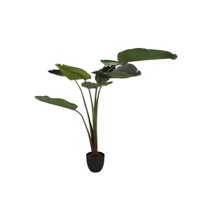 Silk Strelitzia Green 159cm Nm