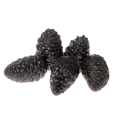 <h4>Dennenappels Maritima wax closed 12cm x5</h4>