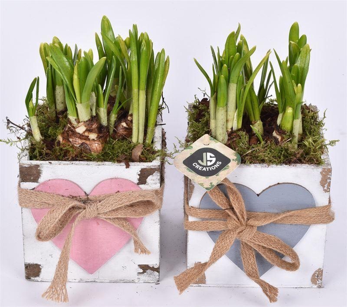 <h4>Hout vierk hart en touw 12x12cm</h4>