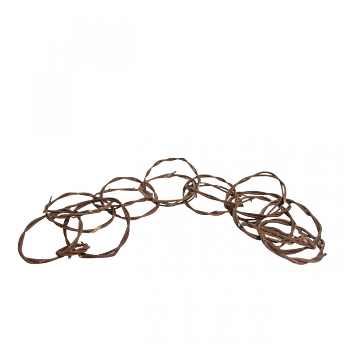 <h4>Garland vine 100cm</h4>