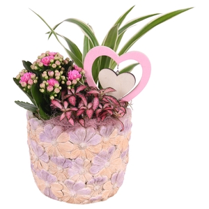 Mothersday Arr. Indoor Ceramic Pot with Flower Deco Ø14cm 3PP