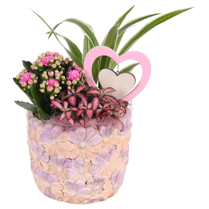 <h4>Mothersday Arr. Indoor Ceramic Pot with Flower Deco Ø14cm 3PP</h4>