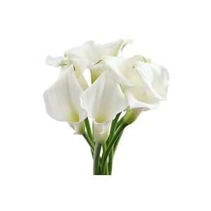 Calla Crystal Blush